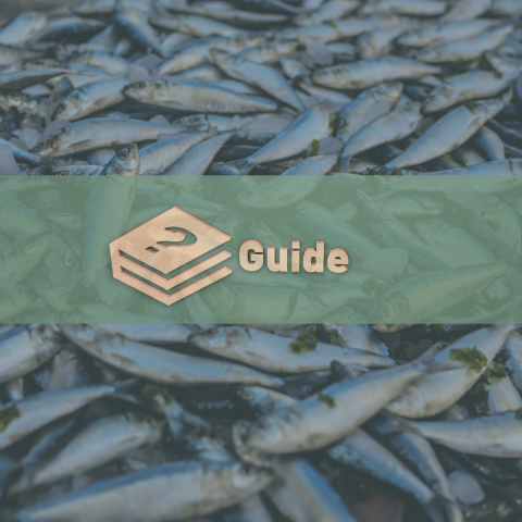 Fish Technical Guide