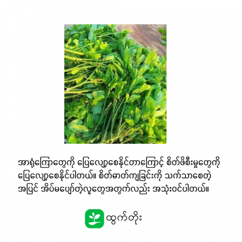 article