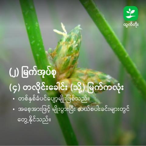 article