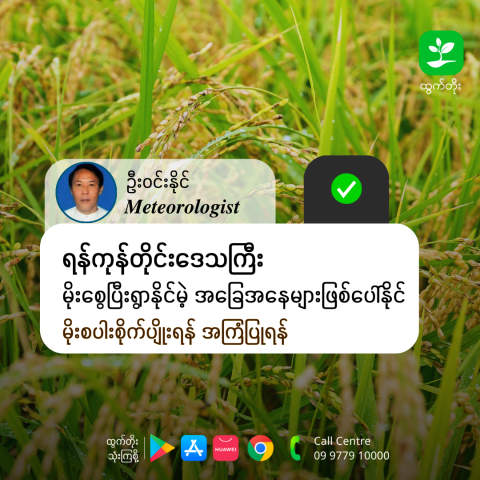 article