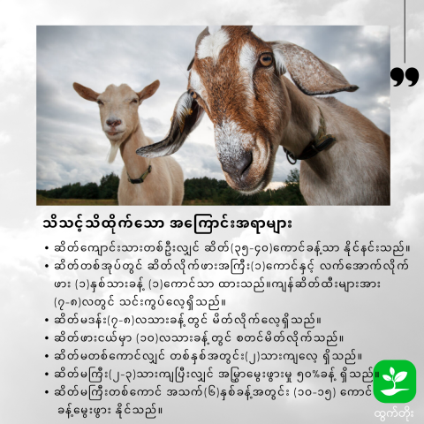 article