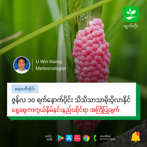 article