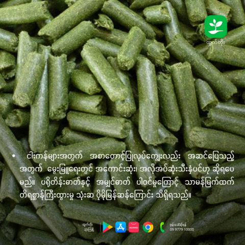 article