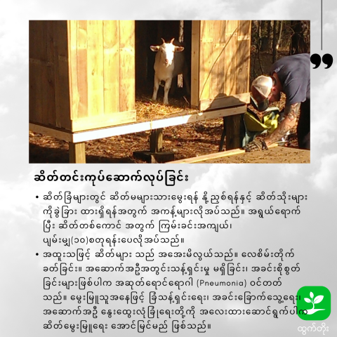 article