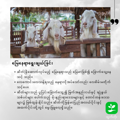 article