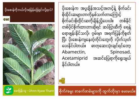 article