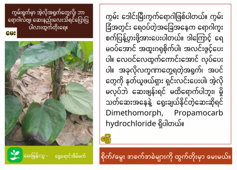 article