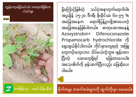 article