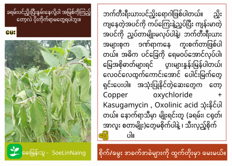 article
