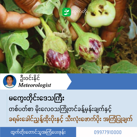 article