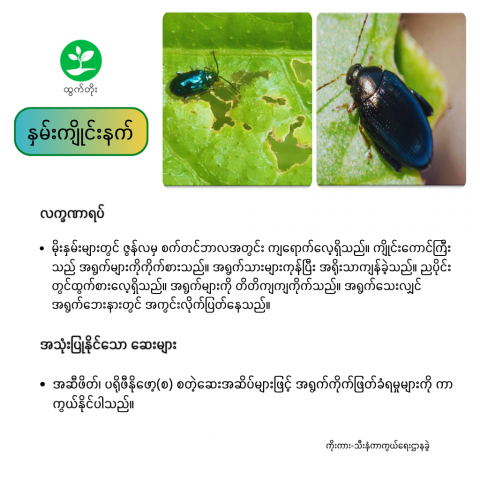 article