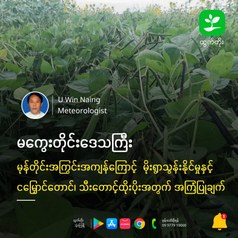 article