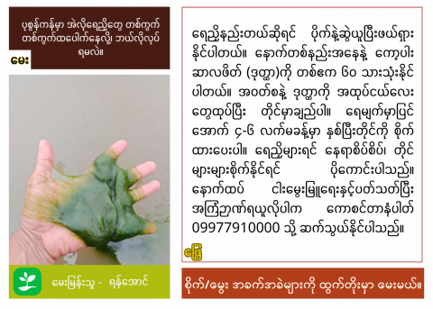 article