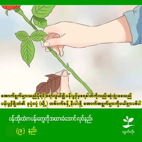article