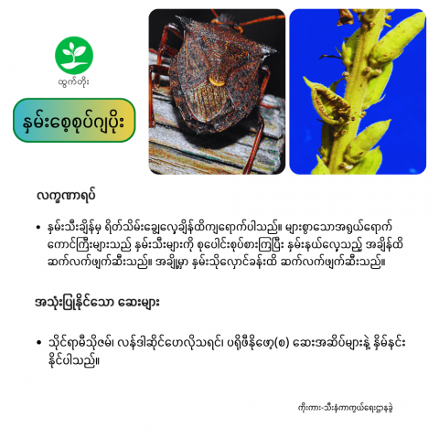 article