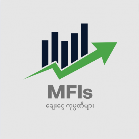 MFIs information