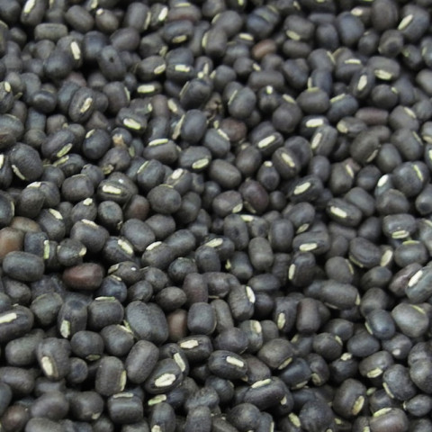 Seed Selection for Black Gram