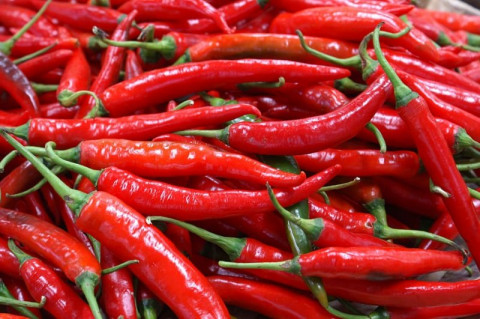Crop Market Price News for Chili