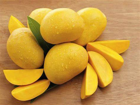 Nutrient Articles for Mango