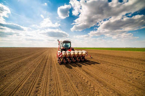 Land Preparation for Groundnut