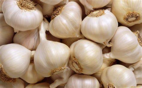 Crop Market Price News for Garlic
