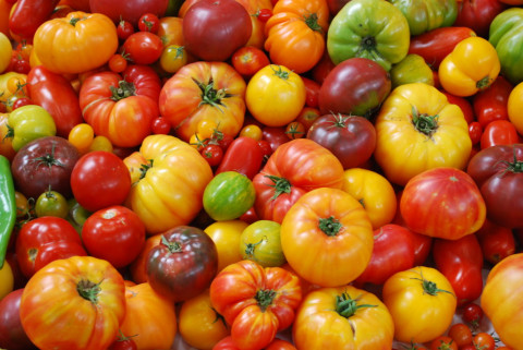 Crop Market Price News for Tomato