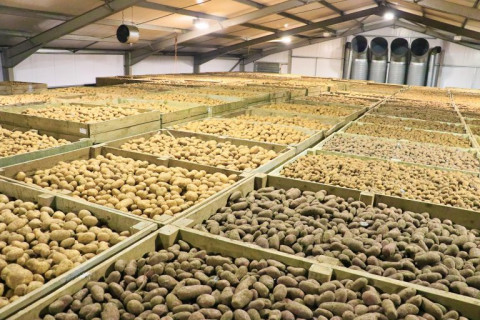 Post Harvest and Value Added Products for Potato