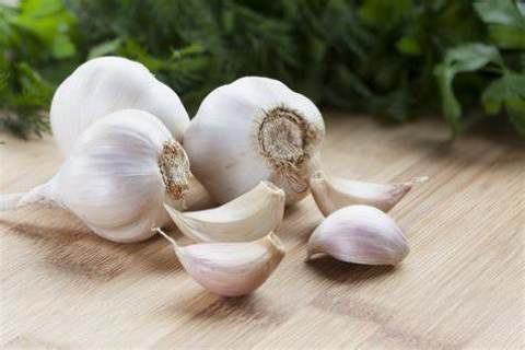 Crop News for Garlic