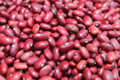 Cultivation Method for Red Kidney Bean